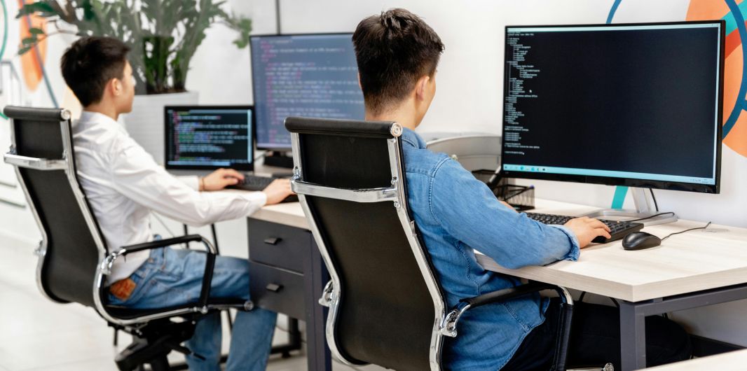 Software Development